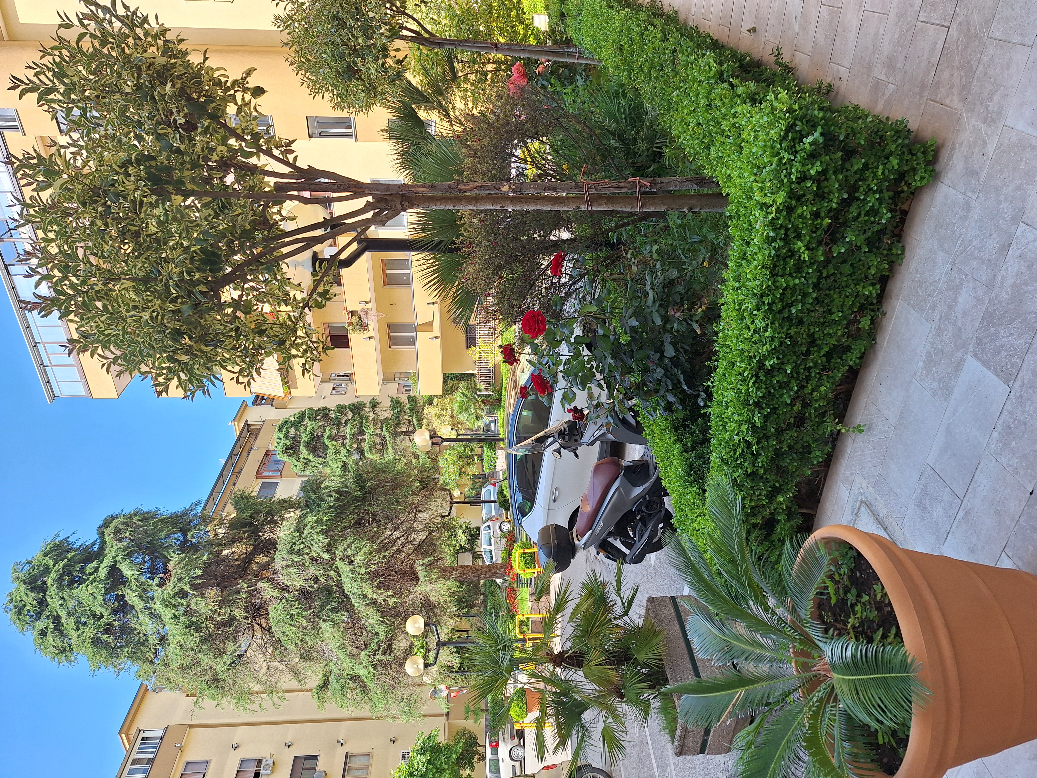 Giardini